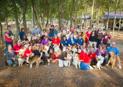 Houston Collie Rescue Reunion Picnic 2012