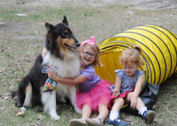 kids with a Collie dog