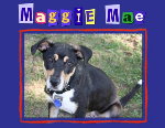 Maggie Mae - RIP May 2006