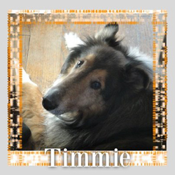 Timmie - RIP March 2012