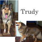 Trudy - RIP April 2003