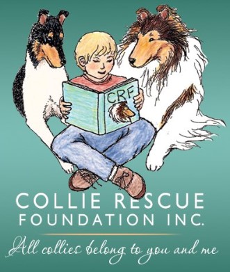 collie rescue foundation