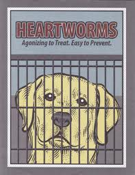 heartworm dog in jail