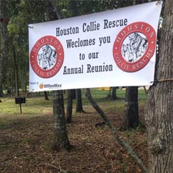 Houston Collie Rescue Annual Reunion Banner