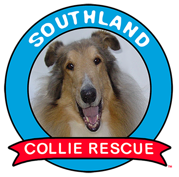 southland collie rescue logo