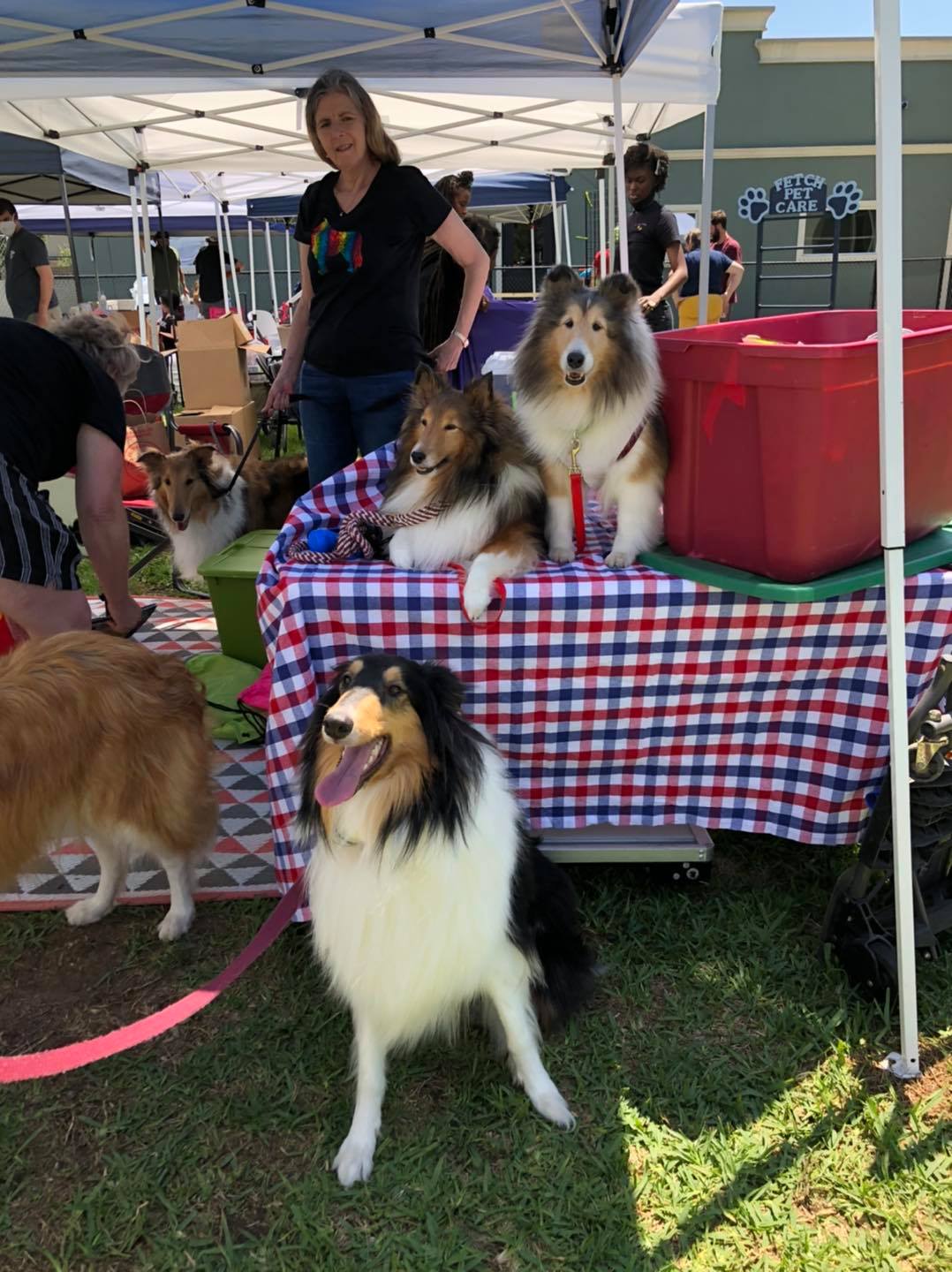 HCR at Woofstock 2021