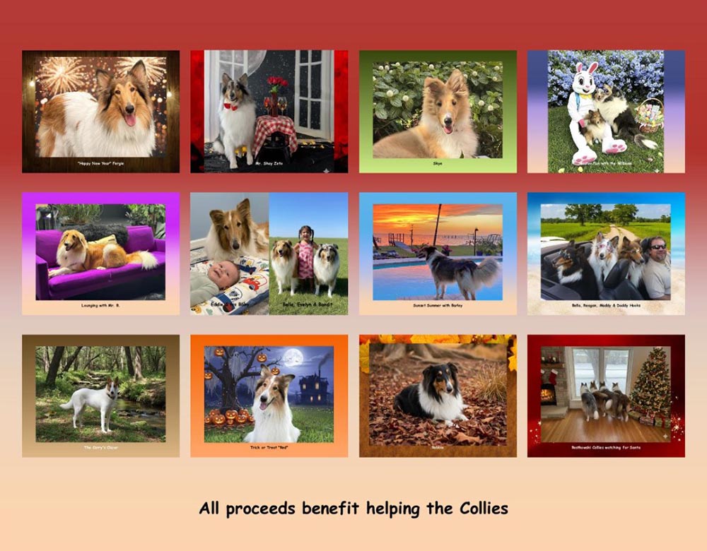 Houston Collie Rescue 2026 Calendar Back Cover